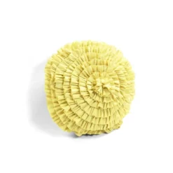 5pc Harley Quilt Set - Lush Décor -Lush Decor Store GUEST a3925529 3e50 4c64 9a40 0d184f3aeb56