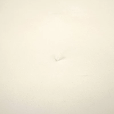 Lush Décor 5pc Rosalie Cottage Core Embellished Lace Comforter Set 4 Lush Décor 5pc Rosalie Cottage Core Embellished Lace Comforter Set - Image 2